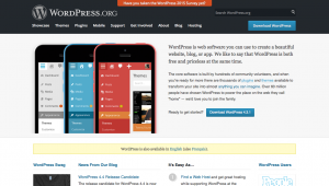 WordPress.org Site with CSS